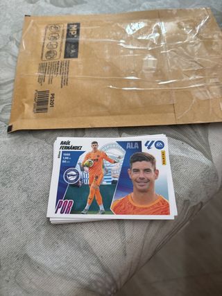 Cromos de fútbol Panini Raúl Fernández