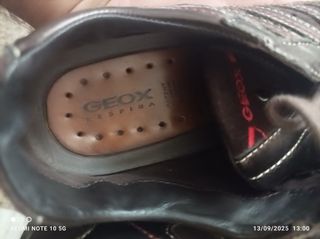 Scarpe Geox donna marroni