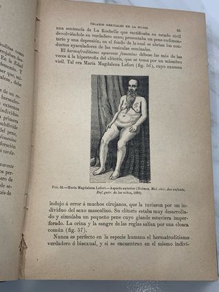 La generación humana