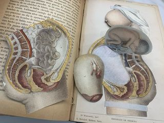 La generación humana