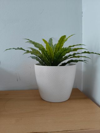 Planta de plastico en maceta blanca