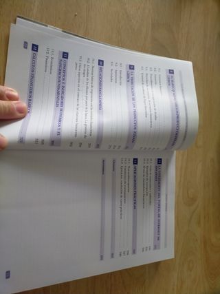 Guía Financiera para Empresarios y Emprendedore...