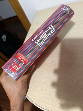 Diccionario Secundaria y Bachillerato. Lengua espa