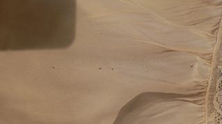 Conjunto Bautizo Antiguo.