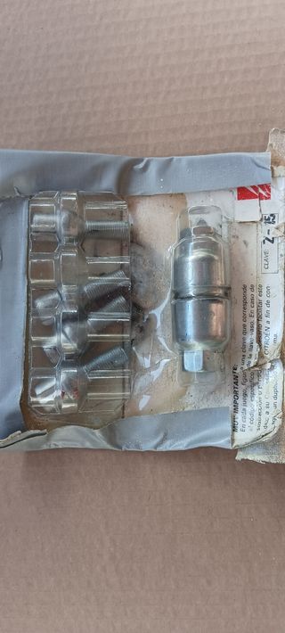 Tornillos seguridad coche Citroën CLAVE: 2-15