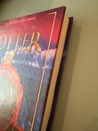 Generación Potter: UN VIAJE POR EL MUNDO MÁGICO...