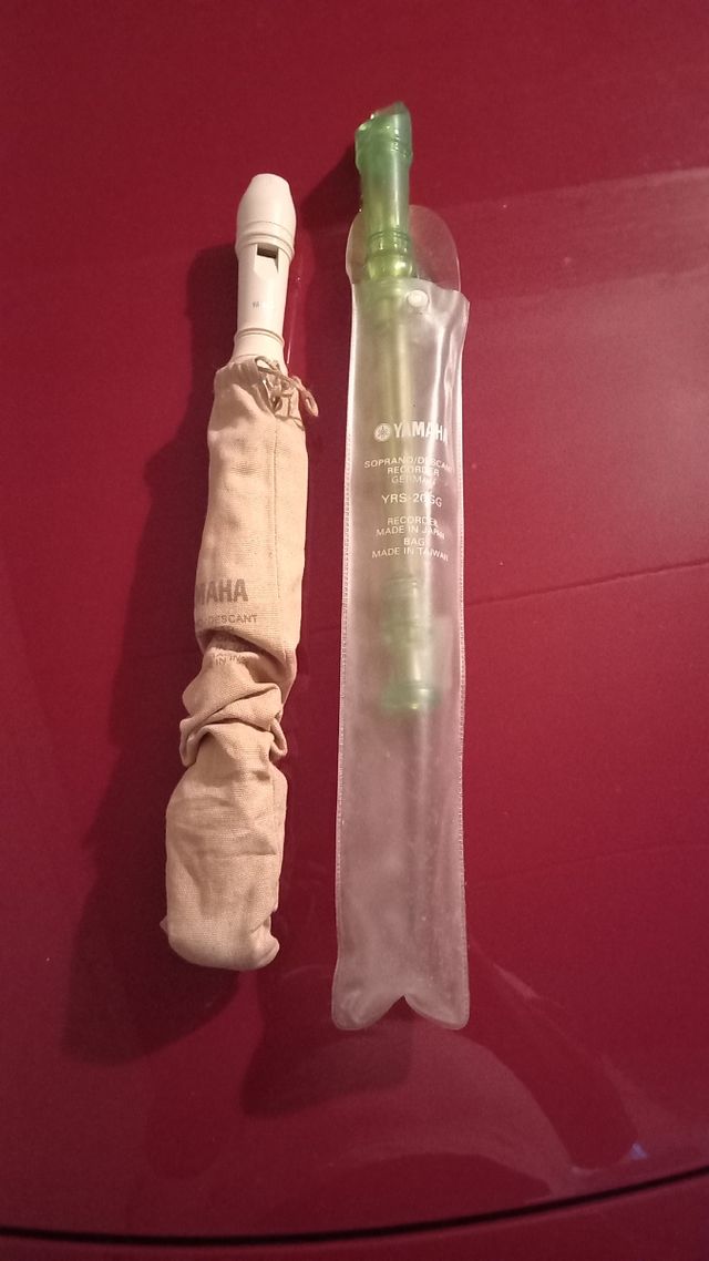 2 Flauti Yamaha YRS 20GG con custodia