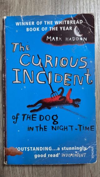 The curious incidente of the dog in the night-time