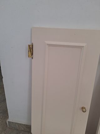 Puertas de madera + 7 baldas. PRECIO CERRADO