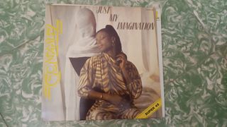 Discos de vinilo - Gran variedad