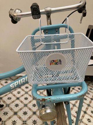 Bicicleta Holandesa Paseo 20