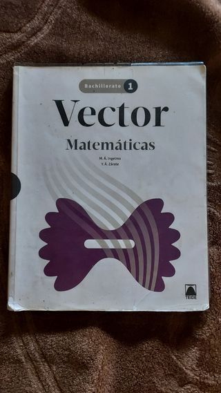 Vector , matemáticas 1° bachillerato