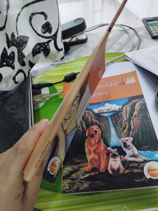 INDIAN THE CUPBOAR.ESO2 ACTIVITY