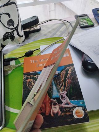 INDIAN THE CUPBOAR.ESO2 ACTIVITY