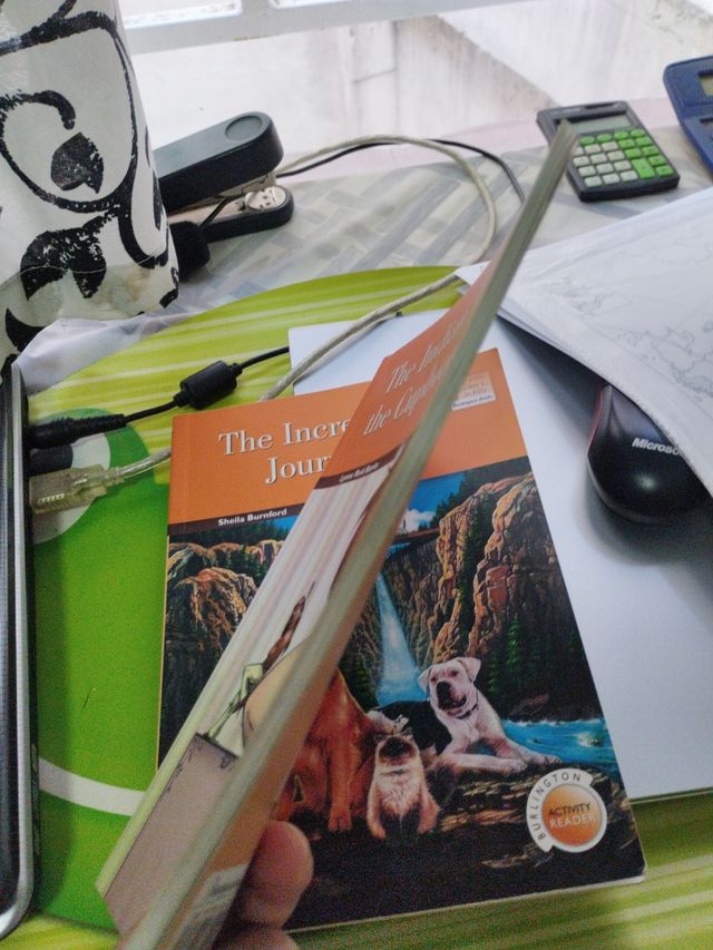 INDIAN THE CUPBOAR.ESO2 ACTIVITY