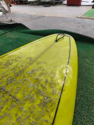 Longboard Zips Surf Amarillo
