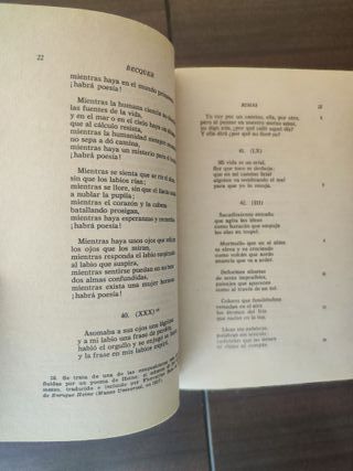 Rimas: y Leyendas; Cartas desde mi celda