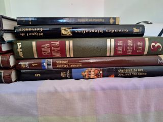 Una colección de libros de tapa dura en excelente