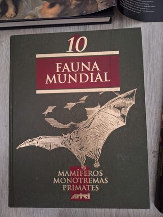 Una colección de libros de tapa dura en excelente