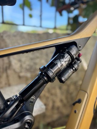 Orbea Rallon 2022 Enduro/DH