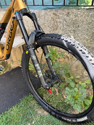 Orbea Rallon 2022 Enduro/DH