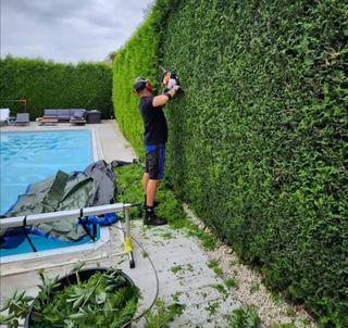 Jardinero economíco