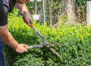 Jardinero economíco