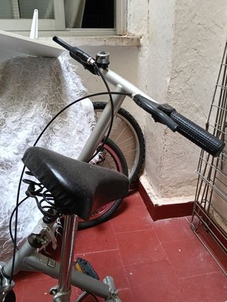 Bicicleta Plegable Plata