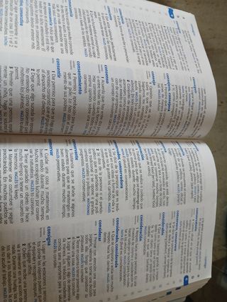 diccionario primera lengua española