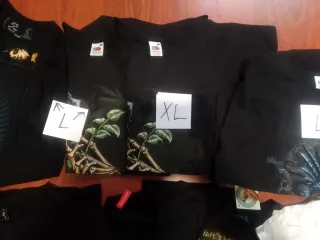 Lote Ropa: Camisetas y Sudaderas