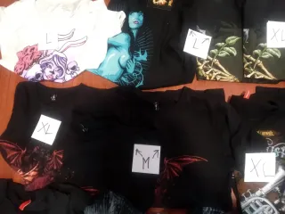 Lote Ropa: Camisetas y Sudaderas