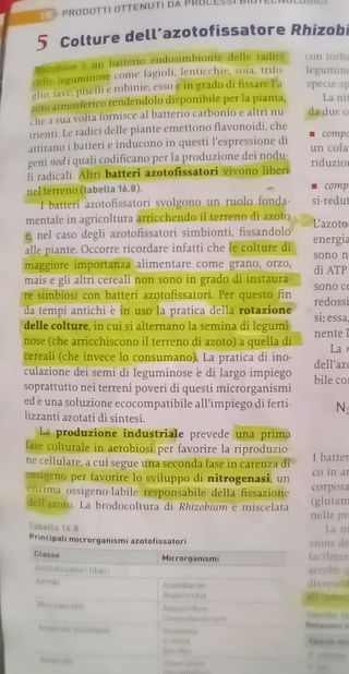 Il corpo umano