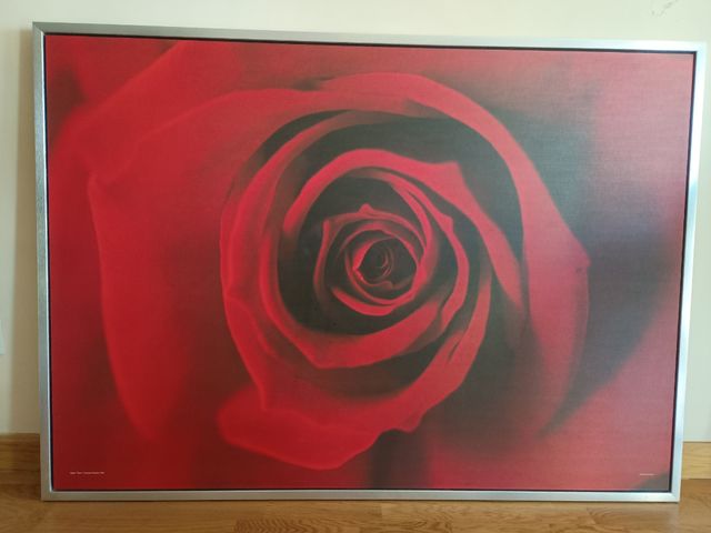 Cuadro de gran tamaño 100x140 cm