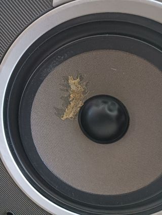 Altavoces W&B Negros