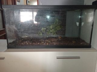 Terrario de cristal y plástico