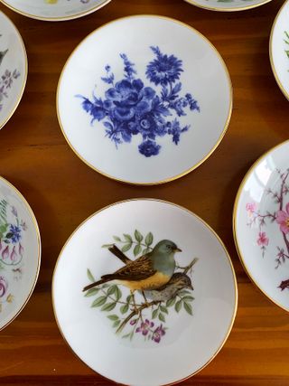 Lote 8 Platitos Porcelana Inglesa Royal Kent