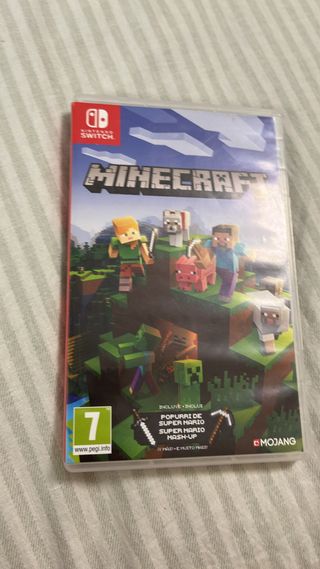 Minecraft Nintendo Switch