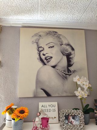Cuadro Marilyn 80x80 cm
Otro de Audrey, dto. Lote