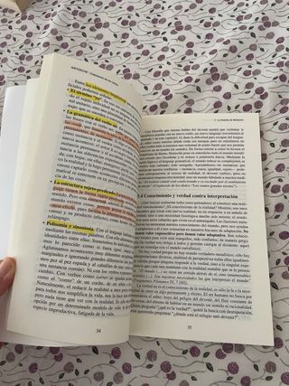 Nietzsche. Crepúsculo de los ídolos (Spanish Ed...