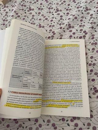 Nietzsche. Crepúsculo de los ídolos (Spanish Ed...