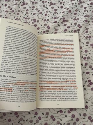 Nietzsche. Crepúsculo de los ídolos (Spanish Ed...