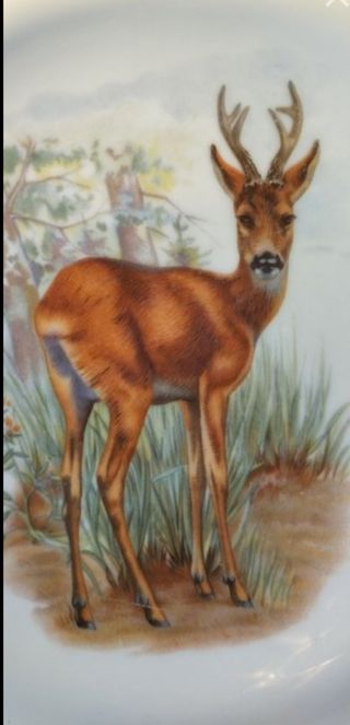 Set caffè Bavaria porcellana anni '40/'50