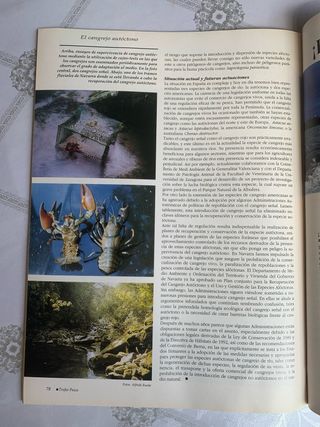Revista Trofeo Pesca Mayo 1996