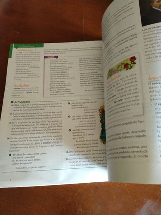 Lengua castellana y Literatura 3.º ESO