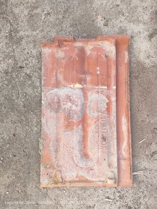 Tejas de barro para tejado
