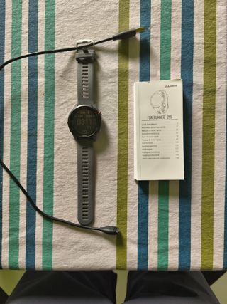 Garmin Forerunner 255 Gris