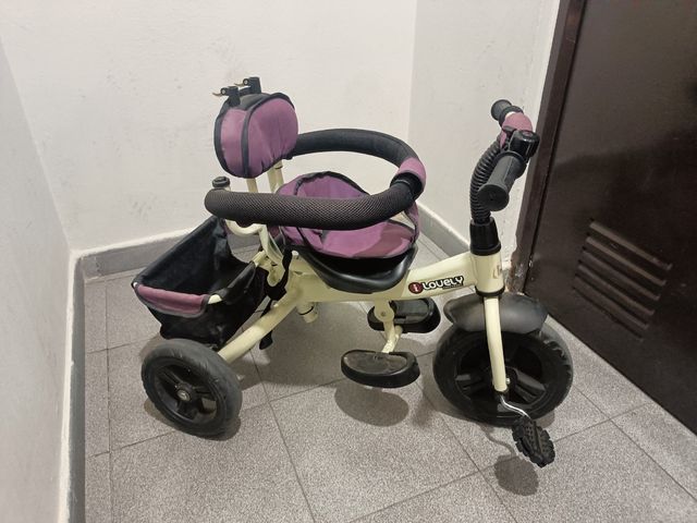 Triciclo evolutivo morado