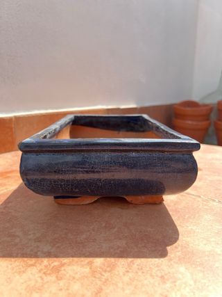 Maceta azul para Bonsái