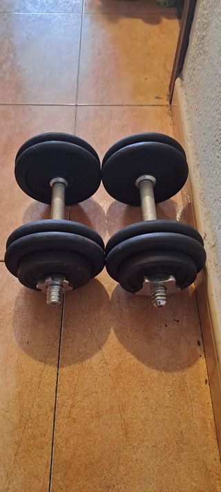 PESAS 2 MANCUERNAS 14KG+14KG