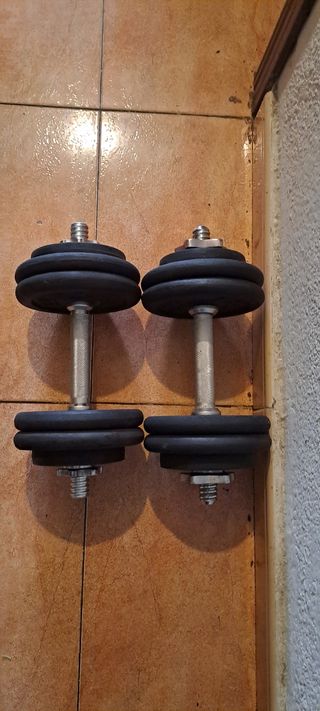 PESAS 2 MANCUERNAS 14KG+14KG